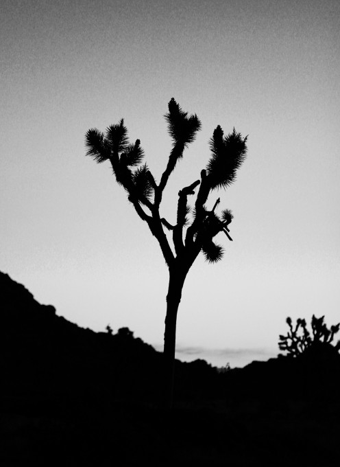 Black and White