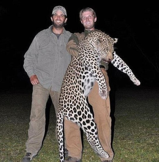 Donald Trump Jr. and Eric posing with a leopard they killed during a hunting trip in Zimbabwe, Africa.