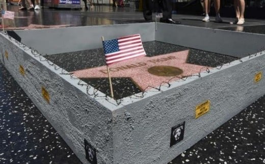 The tiny wall around Trump's star, which was erected by a street artist.