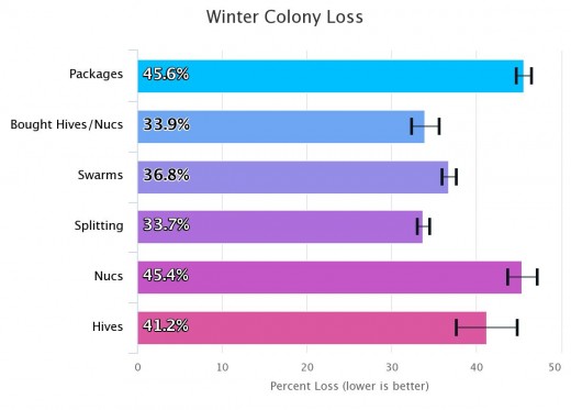 Winterny Conoly Loss