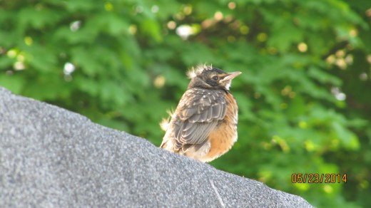 Out Of Bed and Checking Things Out