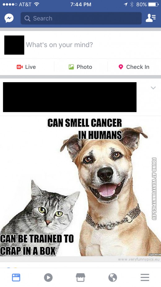 Open Facebook and then tap the Menu icon in the lower right corner.