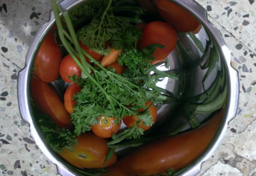 Preparation for Vegetable Soup. 