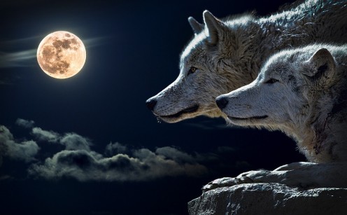 The Occult Truth About Werewolves and Shapeshifters The Occult Truth About Werewolves and Shapeshifters