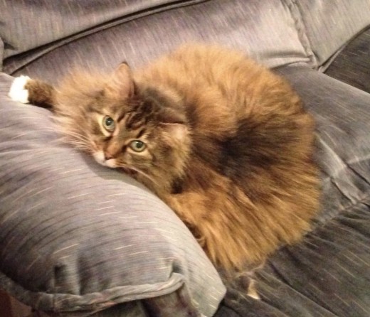 Ruthie as an adult.