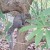 I had to stop to photograph this curious squirrel as he or she watched the crowd streaming by. I had to stop to photograph this curious squirrel as he or she watched the crowd streaming by.