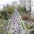 A view of run participants from the Burrard Bridge A view of run participants from the Burrard Bridge