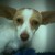 http://www.flickr.com/photos/wakingmagenta/57923008/ http://www.flickr.com/photos/wakingmagenta/57923008/