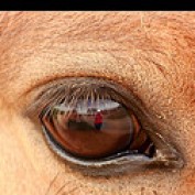 Mystifyingly profile image