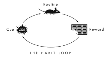 Example of a habit loop