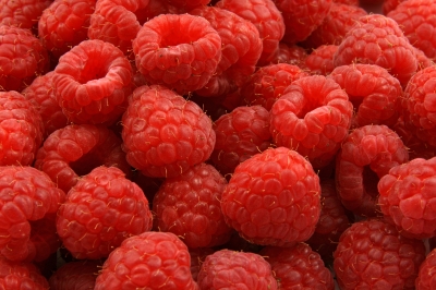 Red Raspberries. [From FreeDigitalPhotos.net] 