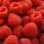 Red Raspberries. [From FreeDigitalPhotos.net] 