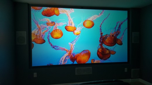 The picture quality without lights on in the room, still have ambient light coming in. The image is from a Netflix 4K nature show.