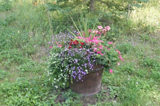 Love this combination of flowers.