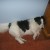 http://www.flickr.com/photos/elsie/175536847/ http://www.flickr.com/photos/elsie/175536847/