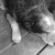 http://www.flickr.com/photos/33916358@N05/3175903209/ http://www.flickr.com/photos/33916358@N05/3175903209/