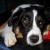 http://www.flickr.com/photos/gattou/2271576423/ http://www.flickr.com/photos/gattou/2271576423/