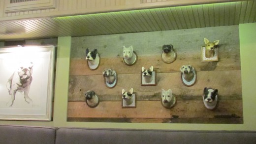 Figures of a variety of dogs on the wall within the "White Dog CafÃ©" where my husband and I  had dinner after I served as a volunteer during the NFL Draft. 