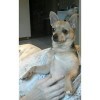 Betsy Brandyberry profile image