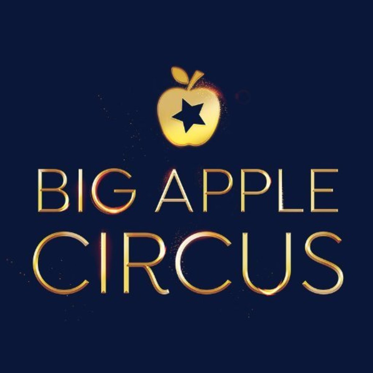 Big Apple Circus Seating Chart Nyc