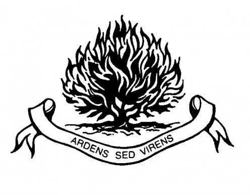 Burning bush