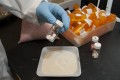 Pharma Integration: Overcome IT Bottlenecks, and Speed Up the Drug Discovery Process