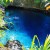 Enchanted River Enchanted River