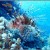 Marine Sanctuary Marine Sanctuary