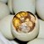 Balut, a boiled egg with an underdeveloped duck (embryo) inside. Balut, a boiled egg with an underdeveloped duck (embryo) inside.