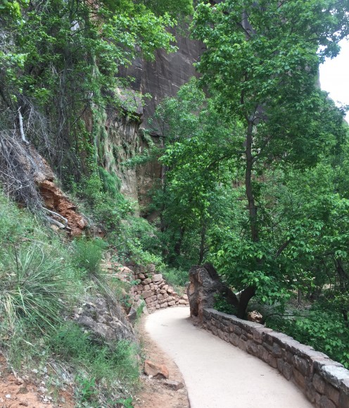 Riverview Trail, Zion NP, Utah