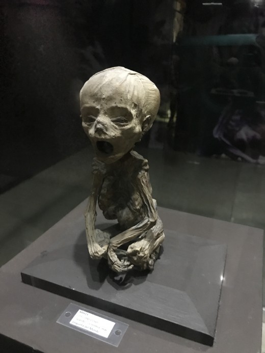 Smallest Mummy in the World