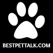 Petswebsite profile image