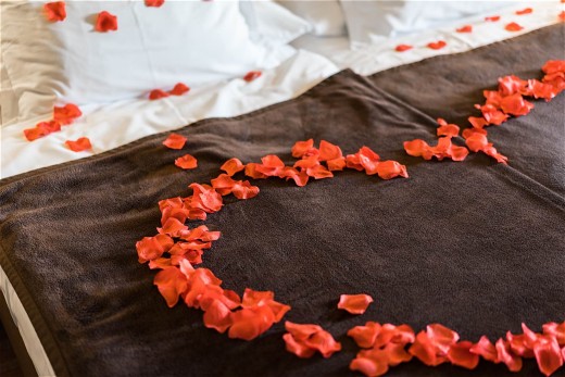 Hotel room decorated with rose petal. Romantic mood