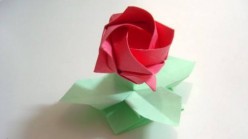 Rose of Mâché
