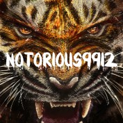 notorious9912 profile image
