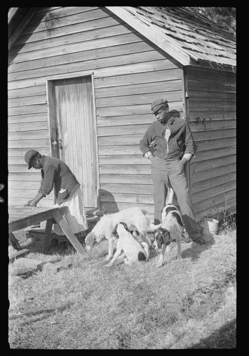 Women making chitlings after hogs were slaughtered in Maxton, N.C.