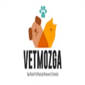vetmozga profile image