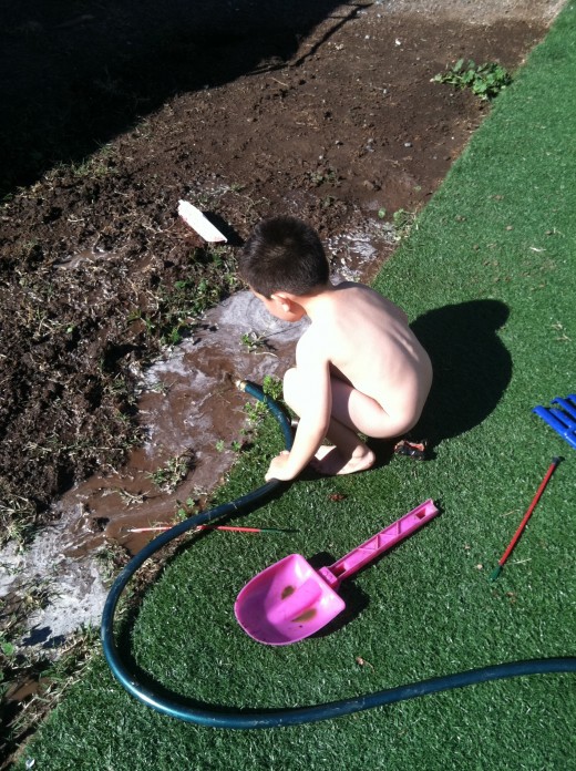 Preparations For Our Garden of Life.
