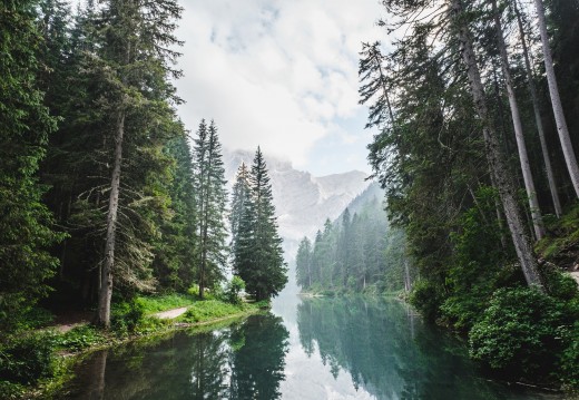 landscape with river