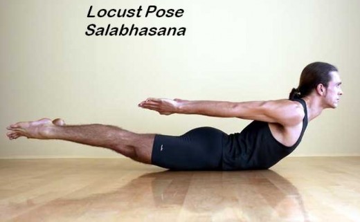 Salabh-asana pose