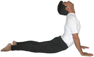 Bhujang-asana pose