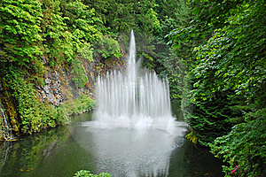 Water Fountain On Pond - Surrounded by lush green garden