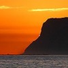 Viz-eta profile image