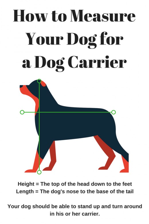 Find the Best Carriers for Your Dog PetHelpful