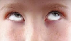 Gift Ideas for a Pre-Teen Boy