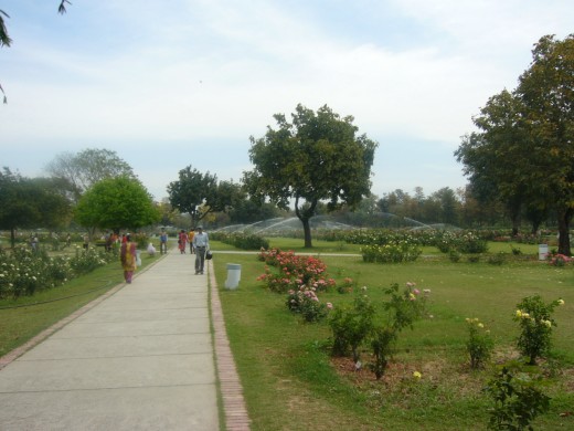 	Zakir Hussain Rose Garden, Chandigarh