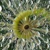Gina Richards profile image
