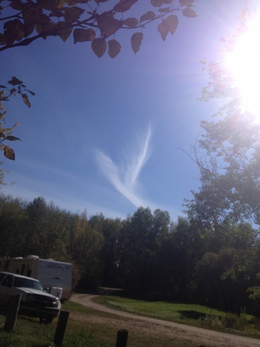See what you can find in the clouds. Lay in the grass and look up. Take time to take care of you. Look at everything from  a new view.