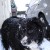 http://www.flickr.com/photos/kevmann16/81193880/ http://www.flickr.com/photos/kevmann16/81193880/