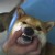 http://www.flickr.com/photos/planetpoochusa/437169593/ http://www.flickr.com/photos/planetpoochusa/437169593/